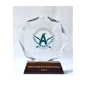 Member of Shenzhen Security Industry Association